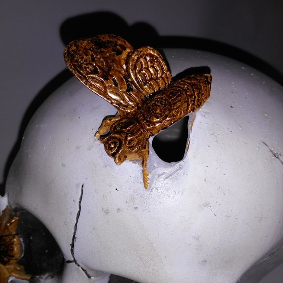 Halloween Decoration Skull Gold Bugs White Creepy Skeleton Head Home Decor Brand - Picture 6 of 13